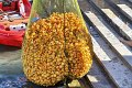 Maschseefest   518